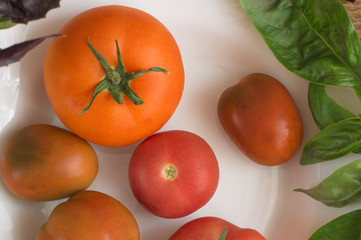 Fototapeta premium Orange and red tomatoes on white plate, top view