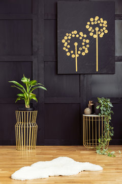Plants on gold tables and white fur in dark interior with black poster on wooden wall. Real photo