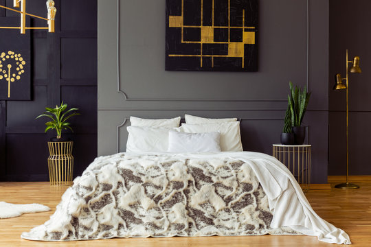 Patterned bed against grey wall with black and gold poster in bedroom interior with plants. Real photo