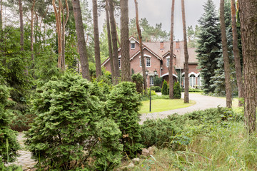 Real photo of a forest with coniferous shrubs, trees and english style house