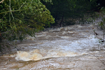 Flooded River Due to Hurricane Florence - Rushing Water