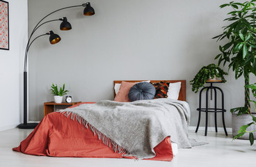 Grey blanket on red bed with cushions in bedroom interior with lamp and plants. Real photo
