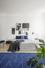 Navy blue carpet in front of bed in white bedroom interior with gallery of posters and plant. Real photo