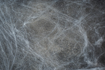 Halloween concept, a dark background old wall with cobwebs, greeting card background