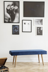 Navy blue bench against white wall with gallery of posters in living room interior. Real photo