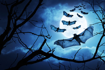 These creepy bats fly in on Halloween Night with a full moon behind them.