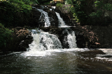 Fototapeta premium waterfall in forest