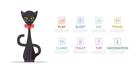 Cat lifestyle infographic