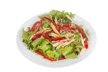 Salad with Bulgarian pepper, meat, ham, chicken, cucumber, lettuce, dill, tomato, zucchini, black sesame on plate, white isolated background Side view. For the menu restaurant bar cafe