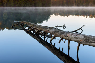 Sunshine over a lake in the background of the forest. Autumn sunrise in Lithuania.