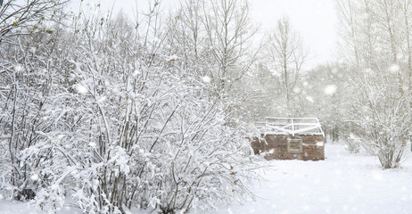 Winter park under the snow. A snowstorm in the city park. Park f