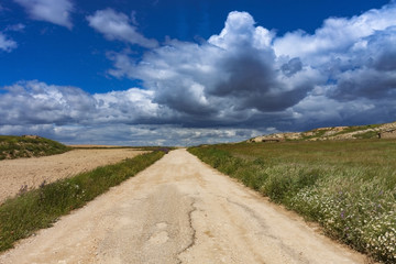 CAMINO EN EL CAMPO HACIA EL CIELO NUBOSO