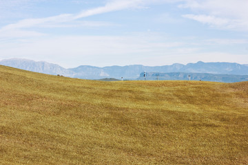 Obraz premium Autumn landscape. Yellow field meadow and blue sky