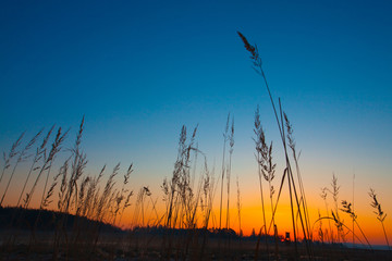 Hunter lookout tower in the morning