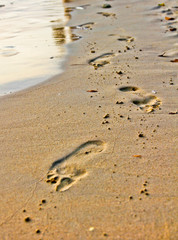 footprints in the sand, beautiful sandy tropical beach