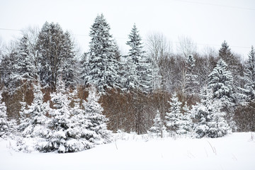 Landscape in the winter cloudy day