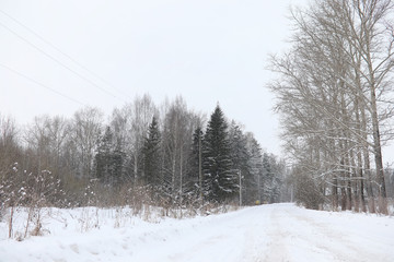 Winter landscape snow covered expanses. A park in the winter in 