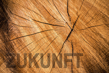 Wort Zukunft auf Baumscheibe