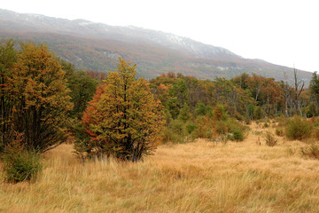 Fototapeta premium Tierra del Fuego National Park in Autumn, Patagonia, Argentina, South America 