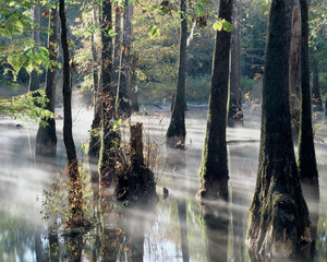 Pascagoula River