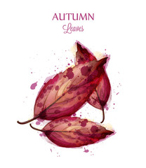 Autumn watercolor leaves Vector isolated on white background. Fall banner template. Red colors