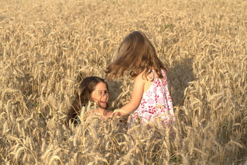 Two little girls sister hugging on a wheat field