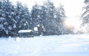 wooden gazebo in forest in the winter snow blizzard