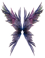Beautiful wings on a white background.