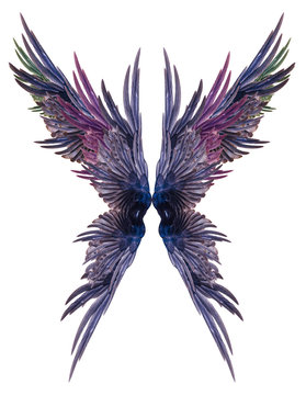Beautiful wings on a white background.