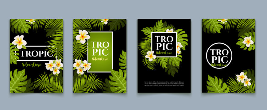 Tropical palm flyer leaves background set. Trendy tropical design summer card. Exotic jungle banner