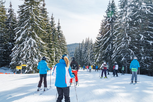 Winter holidays in the mountains. Mountain-skiing resort in the Carpathians.several skiers on a snowy road