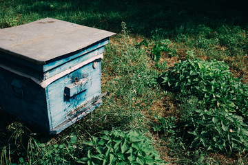 an old Hives of bees in the apiary