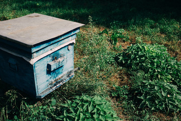 an old Hives of bees in the apiary