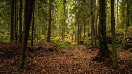 Hautvuori, Southern Finland. A natural rock  formation that was used as a hideout and defensive position at the time of Iron Age.