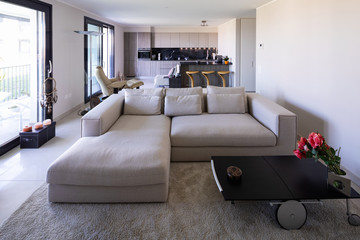 Living room and kitchen in open space, modern apartment