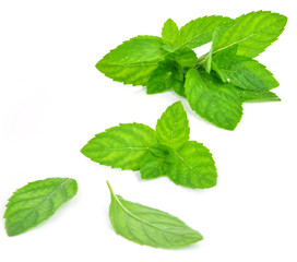 Obraz na płótnie Canvas Fresh mint leafs isolated on a white background