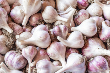 White garlic texture. Fresh garlic on market table closeup photo. Vitamin healthy food spice image....