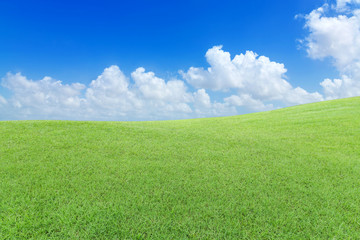 Green lawn with cloud and blue sky