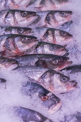 Fresh sea fish in the ice in the store. Clese up of frozen fish. Fresh fishes on ice in open market. vertical photo
