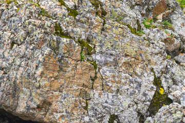 Background texture of a gray brown stone on the rock of the mountain discovered during archaeological excavations as a monument to millions of years of the formation of cancerous deposits under water