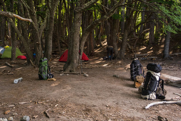 Three backpacks in an open space in a camp in the woods / Wild campsite in a forest / Camping gear and campfire