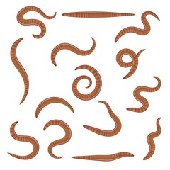 Set of earthworms in different positions on a white background. Isolated insects. Collection of dung worms. Vector illustration