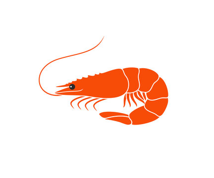 Shrimp logo. Isolated shrimp on white background. Prawns