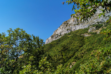 Montagna vista dal sentiero