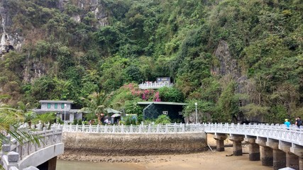 Fototapeta premium ha long bay cruise trip