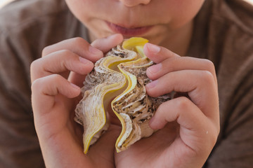 Closeup view of young tanned kid holding sea shell in hands close to camera. Horizontal color image.
