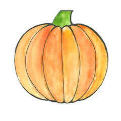 Pumpkin by a watercolour isolated on white background