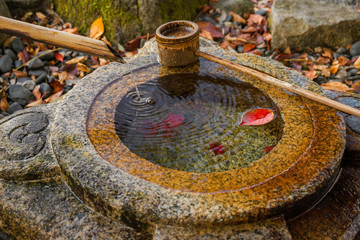 Old stone chozubachi for ritual ablution in Japan, with bamboo ladle and autumn red leaves inside
