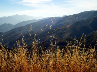 Ojai Valley 