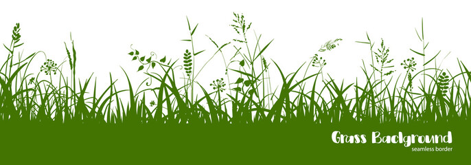 Silhouettes of green grass, spikes and herbs. Seamless border.